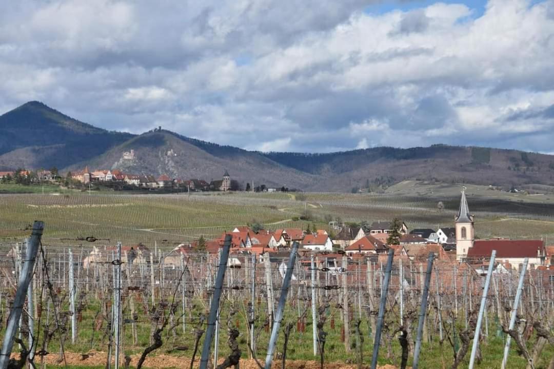 Gites Marschall Jean-Pierre Beblenheim Buitenkant foto