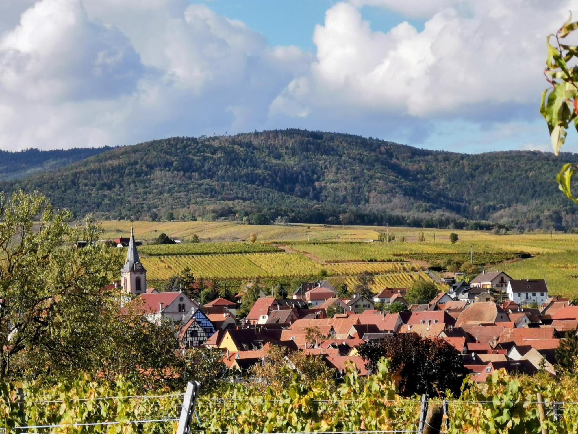 Gites Marschall Jean-Pierre Beblenheim Buitenkant foto