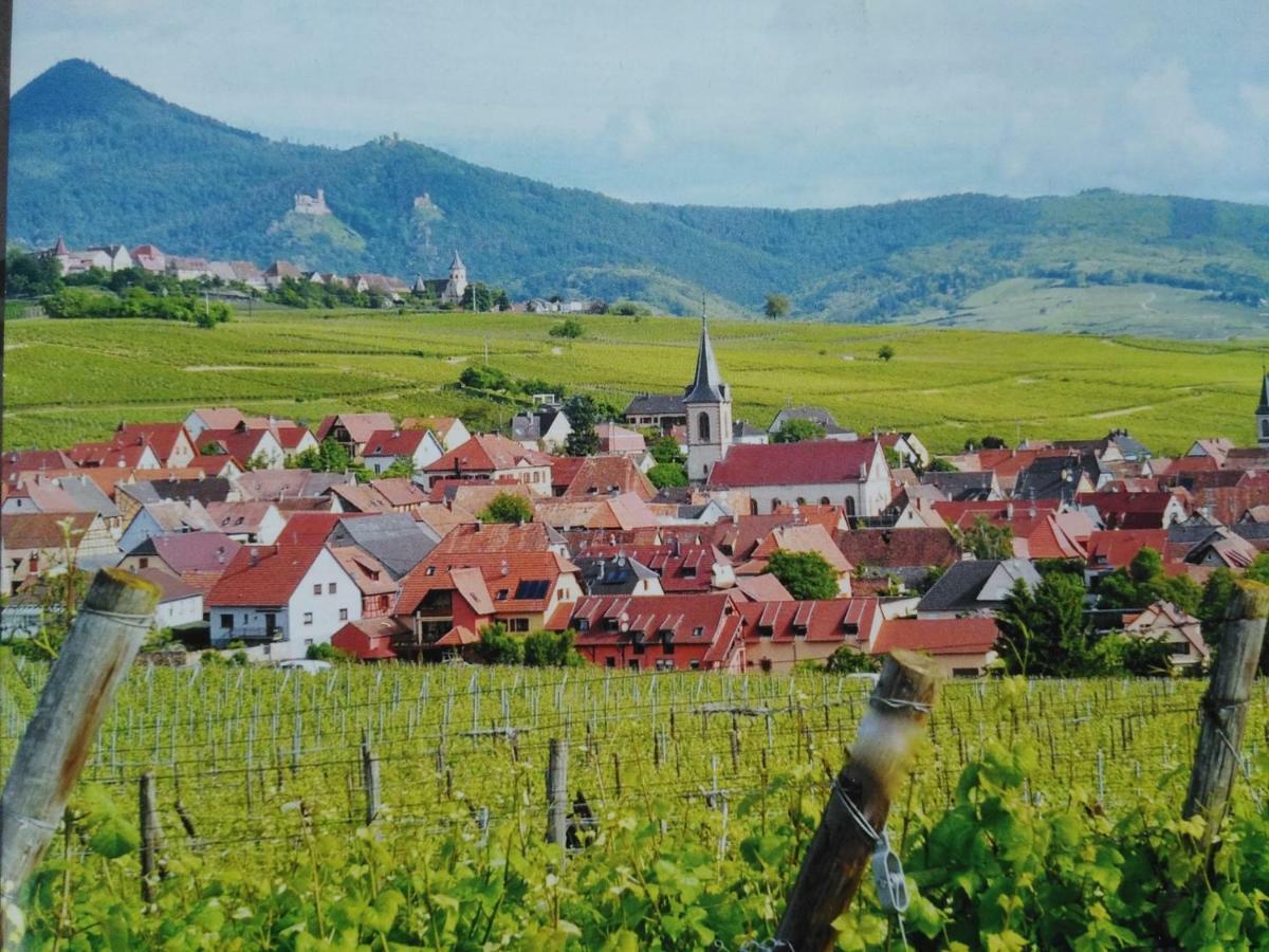 Gites Marschall Jean-Pierre Beblenheim Buitenkant foto
